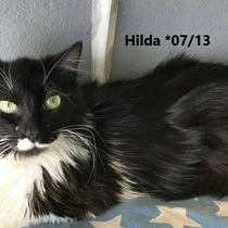 Hilda
