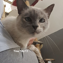 Tina