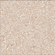 Maridot Almond