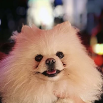 Coco 101121124