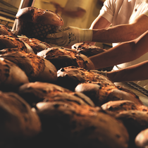 SCARPATO ARTISAN PANETTONE IN SINGAPORE
