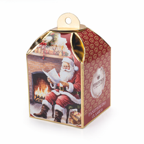 Mini Panettone Classico decorative box display (100gr)