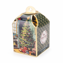 Mini Panettone Classico decorative box display (100gr)