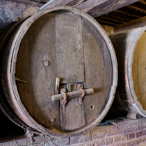 Dégustation de cidre