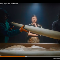 ZDF Doku