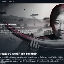 ZDF Umwelt crime
