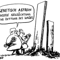 Anthropozentrische Naturethik Brgdomath Muttertag Zitate Film Jubilaeum Firma