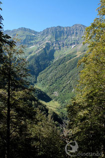 Nature préservée Pyrénées Ariège Couserans Observation faune et flore des Pyrénées