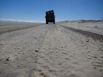 Bagheera am Strandfahren