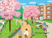 桜並木を散歩