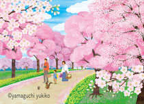 桜並木