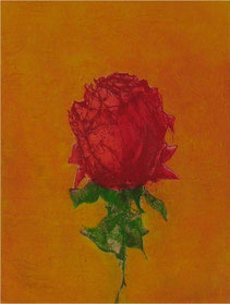 Quadri, opere grafiche, serigrafia, litografia, calcografia, incisione, stampe artistiche, decorazioni interne, arredamento, arte, galleria, editoria d’arte, libri d’arte, mostre, monocromi, riproduzione, artista, grafiche, stampe, pubblicazioni, Gianni F