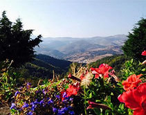 Vue du gite sur les montagnes avec en premier plan des fleurs rouges et mauves location gite en ardeche par le domaine de la gorre