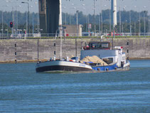 Cotrans 1
