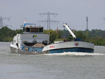 Cotrans 8
