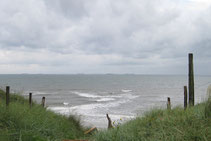 Wasser