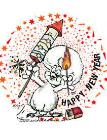 neues Jahr, happy new year