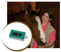 Alexandra Kurland und Peregrine