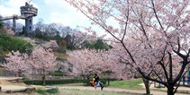 中央公園展望台