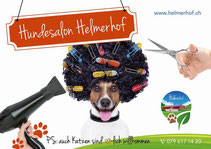 Logo Hundesalon Helmerhof