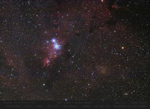 NGC 2264 - Konus-Nebel