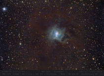 NGC 7023 , Irisnebel