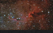 IC 1396 , ASI 585MC