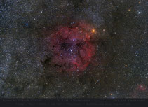 IC 1396