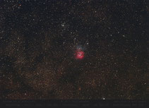 M 20 Trifidnebel