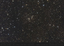 IC 4954