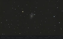 NGC 3041