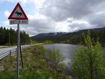 Strubli - Unterwegs in Norwegen, Schweden und Deutschland #strubli 