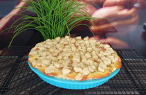 Kleiner Rhabarberkuchen Quiche- und Tarteform Backform Pampered Chef