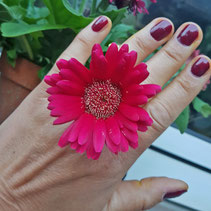 Blume auf der Hand