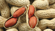 plumpynut