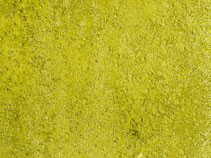 Geschenke aus Worten: So funktioniert's. Struktur aus gelber Farbe als Kennzeichen.