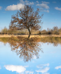 eine Seebergerspiegelung
