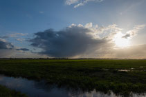 der Weite geschuldet.....tolle Wolken im Fokus