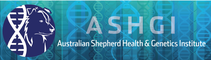 Australian Shepherd health & genetics institute