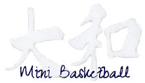 奈良　大和郡山　ミニバス