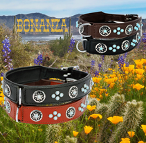 Design: Bonanza-Western