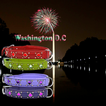 Design: Washington D.C