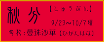 秋分【しゅうぶん】：曼珠沙華【ひがんばな】