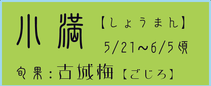 小満【しょうまん】：古城梅