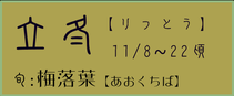 立冬【りっとう】：梅落葉