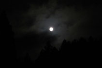 十五夜の月