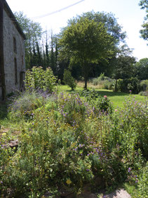 Brele Scholz - Familienaufstellung und Kunsttherapie - Blick in meinen idyllischen Garten im Sommer
