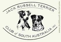 Jack Russell Terrier_Club of South Australia