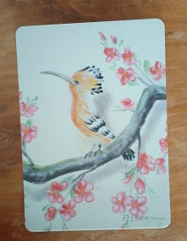 Postkarte Wiedehopf 2023-1, Vogel sitzt auf dem Zweig