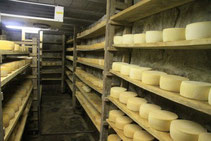 GAEC du Val d'Azun où la maison Sempé s'approvisionne en fromage de brebis